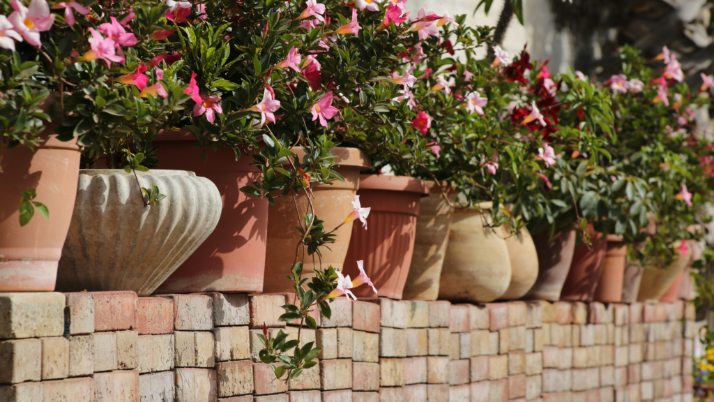 flower pots on brick wall